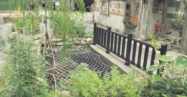 圖9 錦安霧裡薛圳雨水田園-霧裡薛圳支流生態教育區