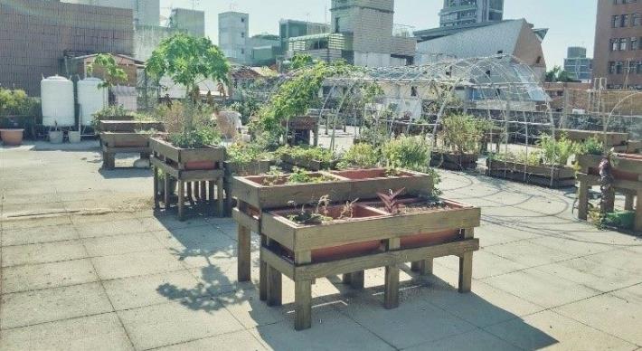 圖2 錦安區民活動中心屋頂菜園-中央種菜區