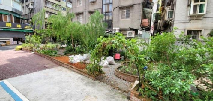 圖8 錦安霧裡薛圳雨水田園