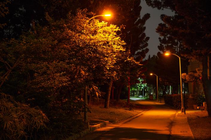 圖2-大安森林公園螢火蟲專用燈