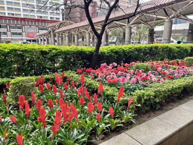 圖1.鮮豔的花卉在臺北車站前廣場迎接著到訪的遊客