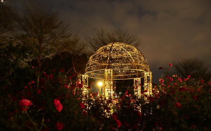 圖15臺北玫瑰園內的光之圓頂，夜晚閃著光芒。(Daidai Chang攝影)