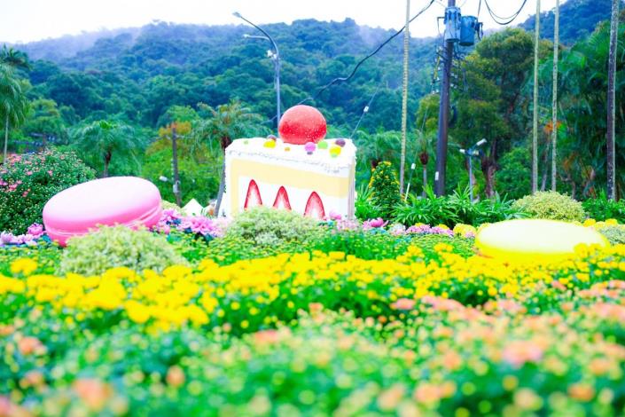 圖6. 在「享樂派對」的菊花海裡享用美味甜點