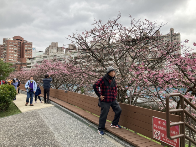 2023 樂活公園花況照片01