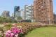 大安森林公園捷運5號出口杜鵑等待大家來拍照