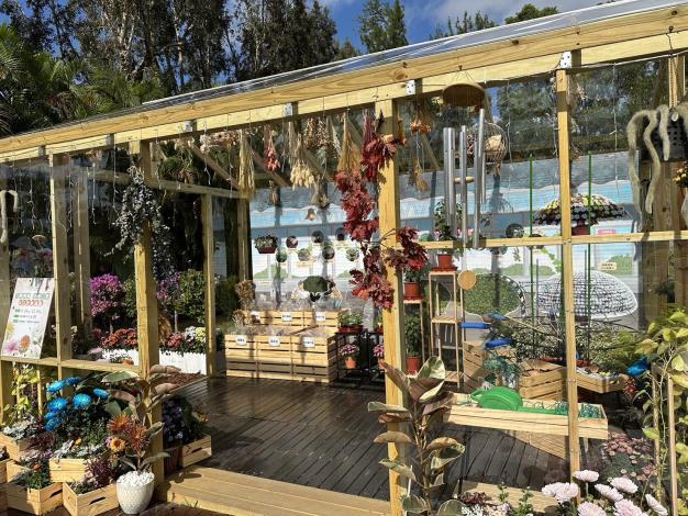 圖1. 手工打造的木作溫室讓您一探大立菊的栽培密辛