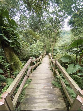 富陽自然生態公園木棧道景色