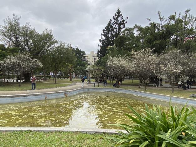 圖6想要賞梅，又不想人擠人，推薦您前往榮星花園公園進行尋芳小旅行。