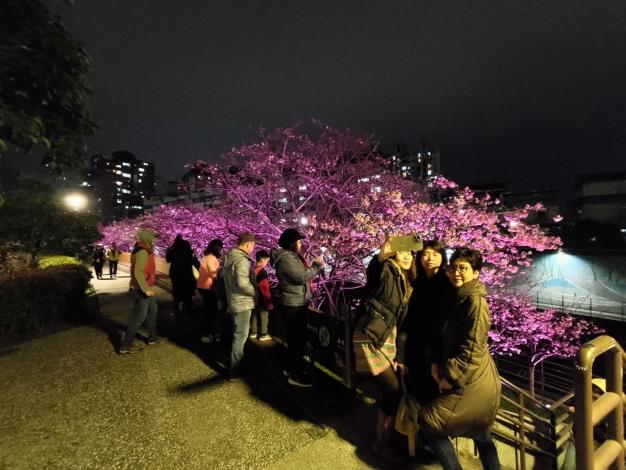 夜櫻季夜晚人潮