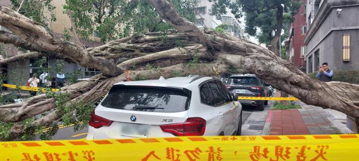 壓倒於1輛白色轎車