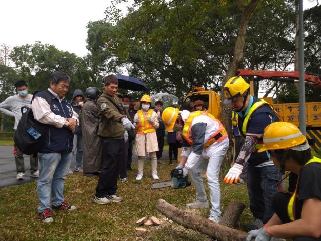 (圖2) 正確使用鏈鋸教學_0