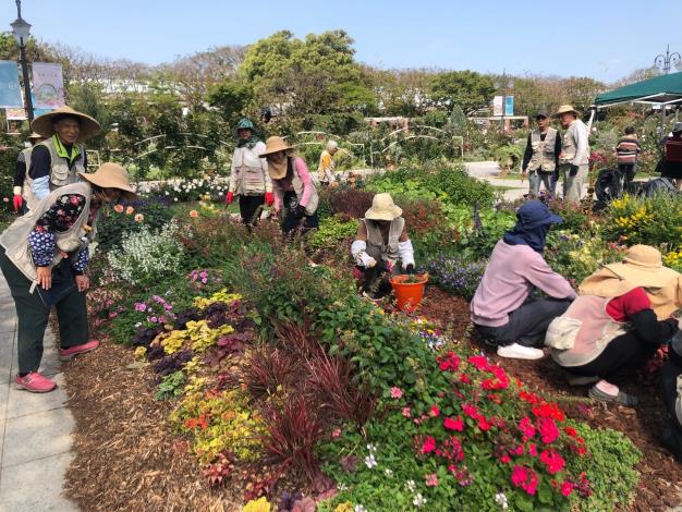 圖16 志工與同仁一同養護園藝植物佈展區。