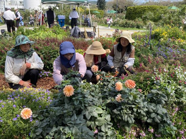 圖15 志工與同仁一同養護園藝植物佈展區。.JPG