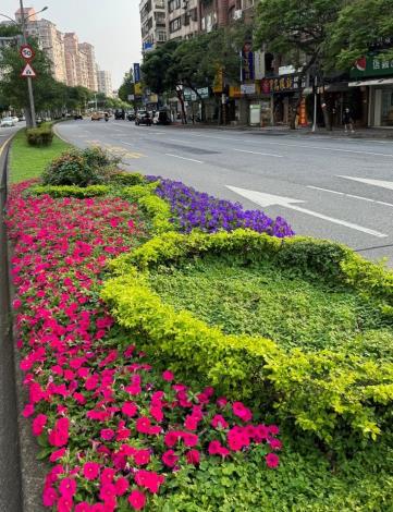 圖3.承德路四段種植矮牽牛、金葉金露華、馬櫻丹