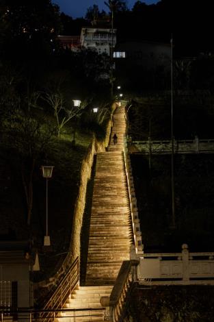 默默守候臺北市一世紀的指南宮竹柏參道