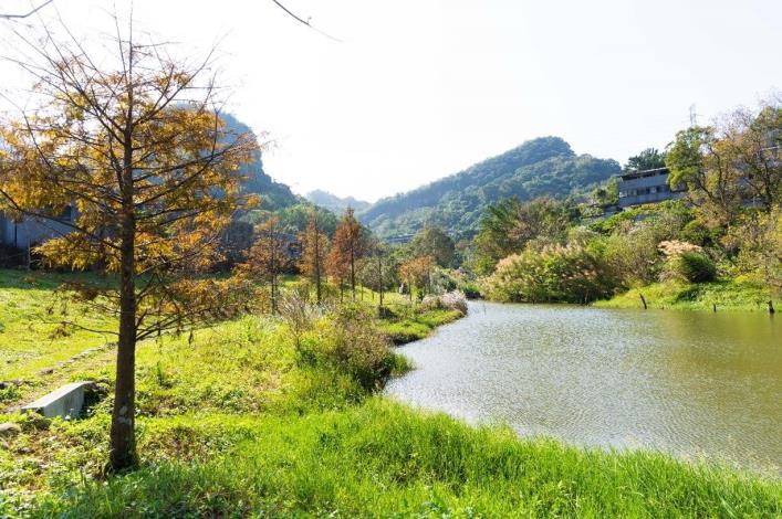 永春陂濕地公園-生態豐富的濕地公園