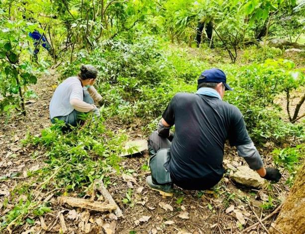 大安基金會志工夥伴協助生態島環境整理