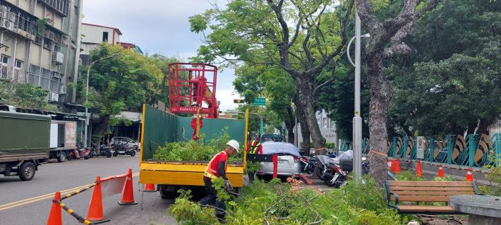 (圖3)公園處針對全市行道樹辦理計畫性修剪