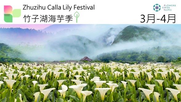 圖14. 於大屯山下台北限定的「竹子湖海芋季」