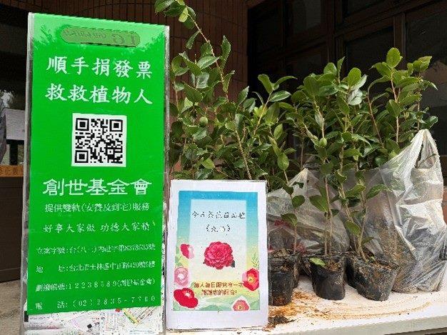 未開獎發票兌換茶花苗活動，讓活動兼具賞花與公益的意義