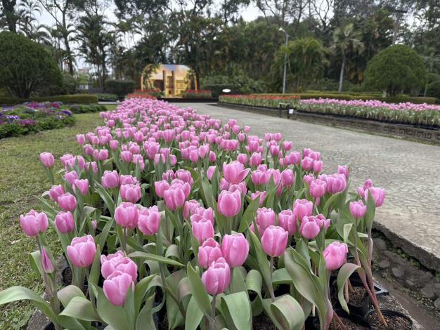圖6 . 在西式庭園的「邂逅義大利」鬱金香花海搭配古堡意象呈現浪漫氛圍
