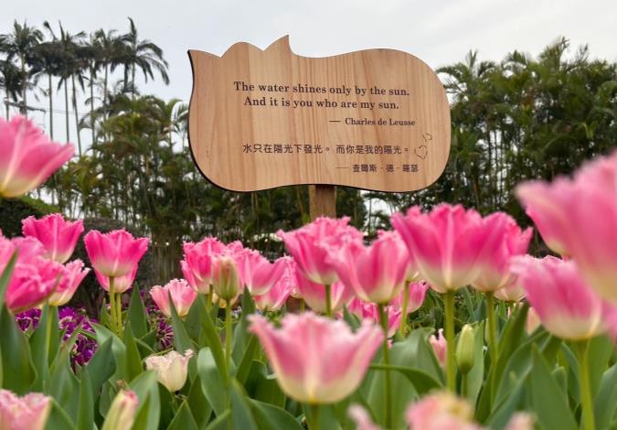 圖7. 以經典愛情名句，讓您除了認識鬱金香品種外，對愛情更有不同的體悟