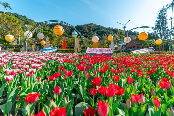 圖5. 「香戀土耳其」以魔毯搭配滿滿的鬱金香花海呈現中東的浪漫風情