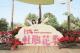 圖7. 2025台北杜鵑花季最美打卡點降臨大安森林公園！