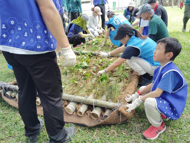5為浮島栽入水苔與植栽