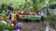 圖7 林雍善隊長帶領榮星花園公園生態守護志工隊進行每月工作日。