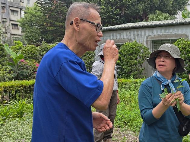 圖2.學員透過揉搓葉片學習辨識魚腥草與地瓜葉。