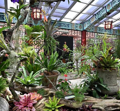 圖3、多種植栽錯落交織，展現植物原棲地的分布位置與生長特性
