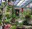 圖3、多種植栽錯落交織，展現植物原棲地的分布位置與生長特性
