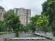 圖3榮星花園公園靠近民權龍江路口栽植8株穗花棋盤腳。