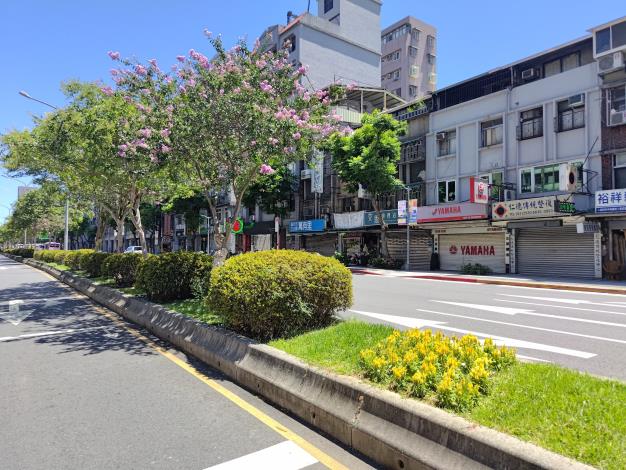 圖3-羅斯福路中央分隔島上黃色的雞冠花、杜鵑與紫薇交織，地景立體豐富，展現視覺層次