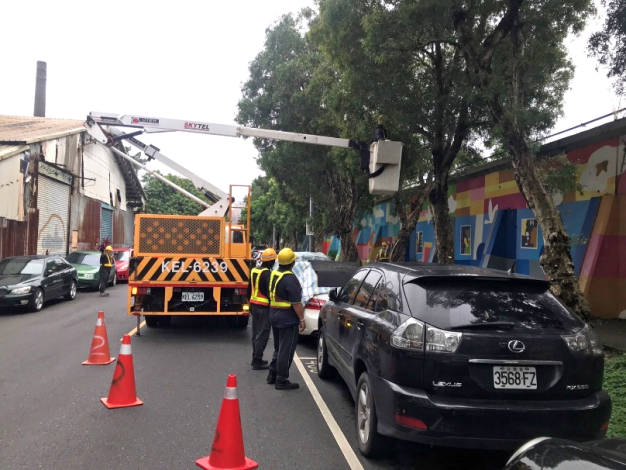 (圖6)公園處以全樹型修剪方式，積極做好防颱整備