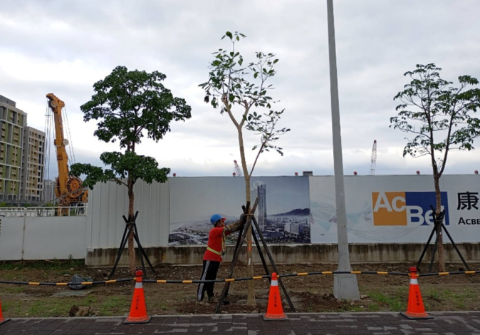 (圖11)公園處加強立支柱，積極做好防災整備