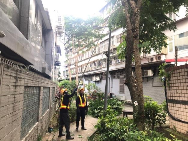 (圖4)公園處加強修剪疏枝，積極做好防災整備