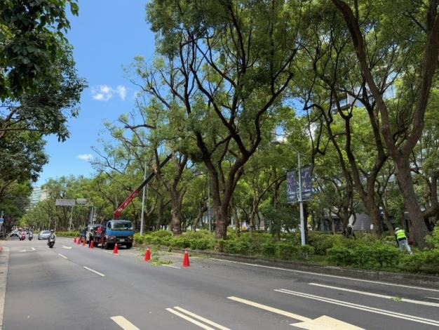 (圖2)公園處加強修剪疏枝，積極做好防災整備