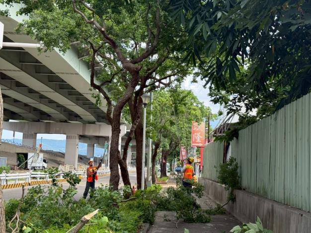 (圖3)公園處辦理修剪以積極做好防颱整備