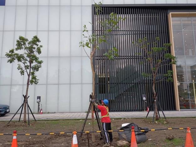 (圖9)公園處加強立支柱，積極做好防災整備