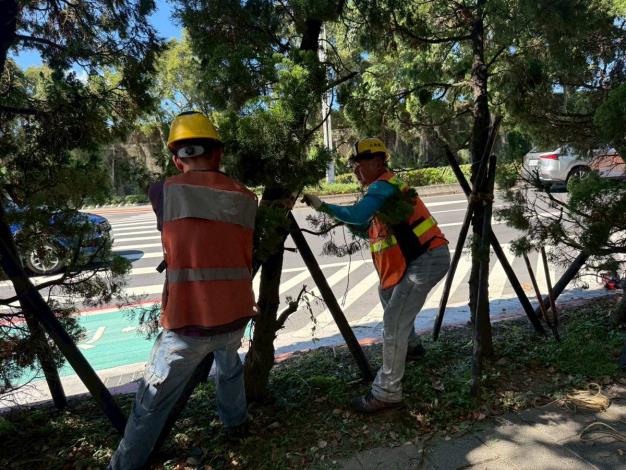 (圖5)公園處加強立支柱，積極做好防災整備