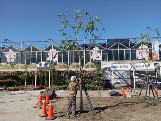 (圖10)公園處加強立支柱，積極做好防災整備