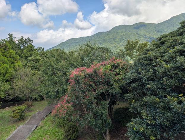 陽明公園第二停車場往杜鵑茶花園、涼亭的步道上，也能見到它們的身影。
