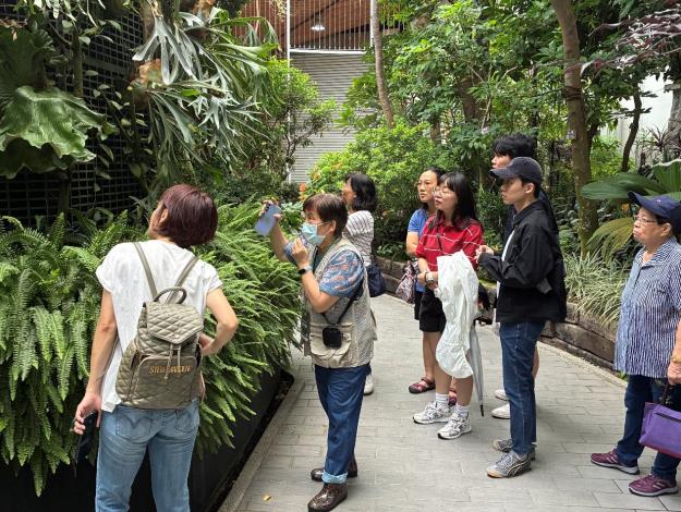 圖4正在解說鹿角蕨的志工老師。