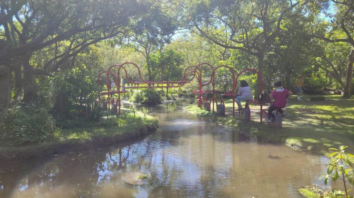 圖4. 以雙腳參與的生活實踐,在無形中為城市生態貢獻一份心力