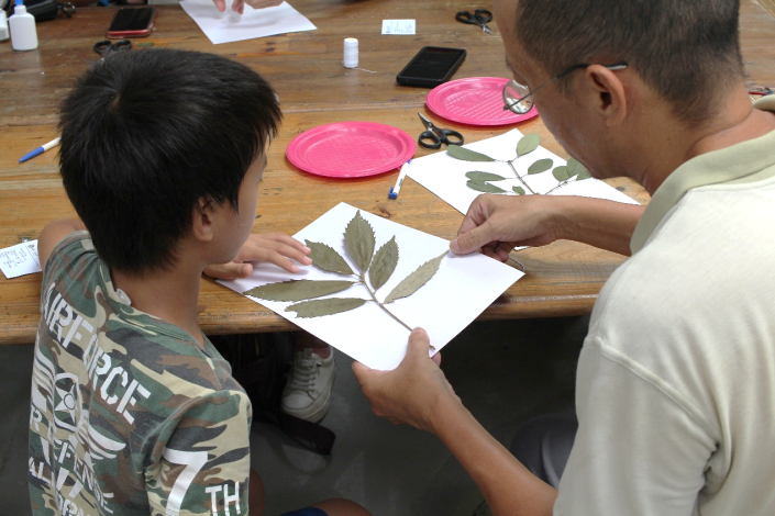 圖3 運用臘葉標本的技法讓植物裝飾在生活之中。