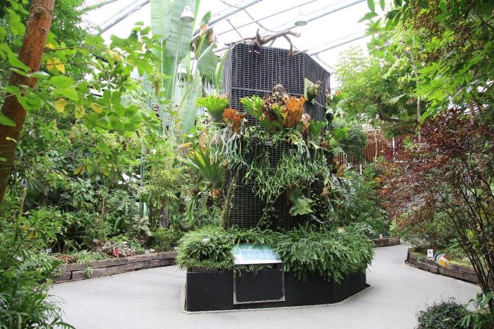 圖8 臺北典藏植物園環境舒適適合市民前往休閒參觀。