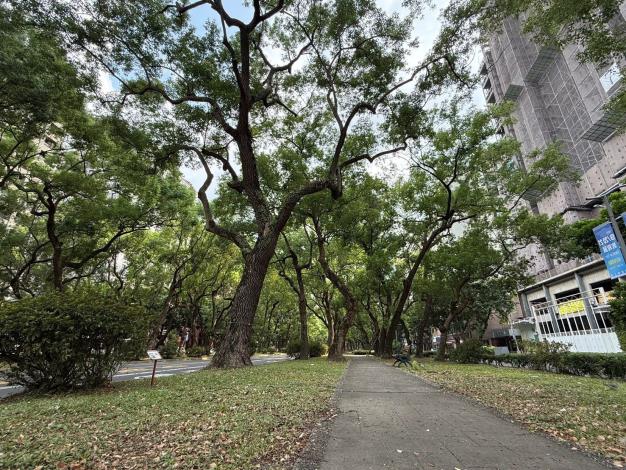 圖2更多葉面吸收空氣污染物,釋放新鮮氧氣,讓呼吸更暢快。