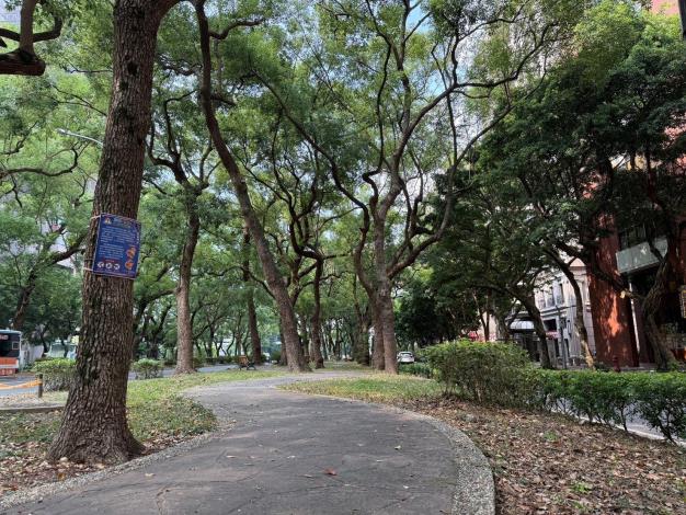 圖3提供豐富的棲地,吸引鳥類與昆蟲,為城市注入勃勃生機。